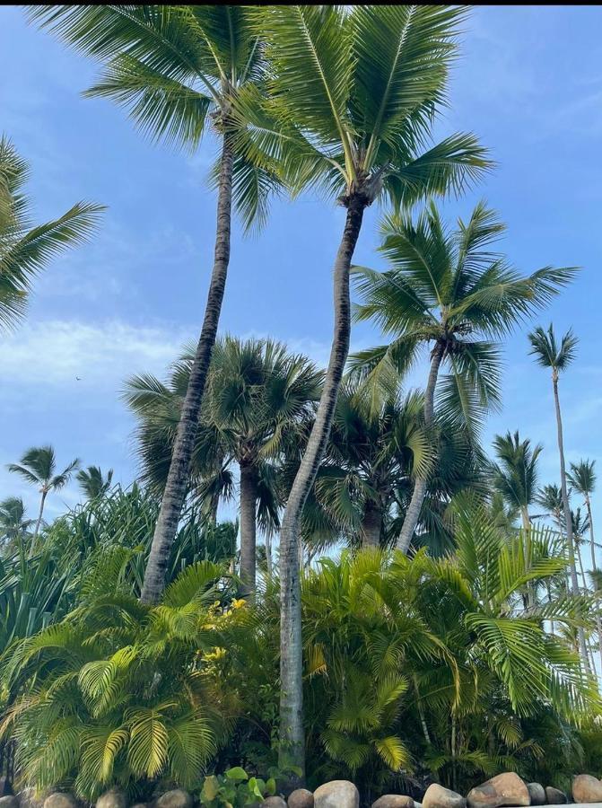 Yonah comfort punta cana Esterno foto